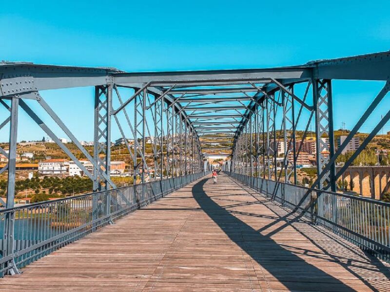 Porto: Douro Valley Private Tour With Winery Lunch & Cruise - Highlights and Activities