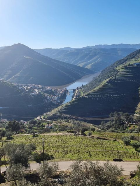 Porto: Douro Valley Private Tour With Winery Lunch & Cruise - Included in the Tour