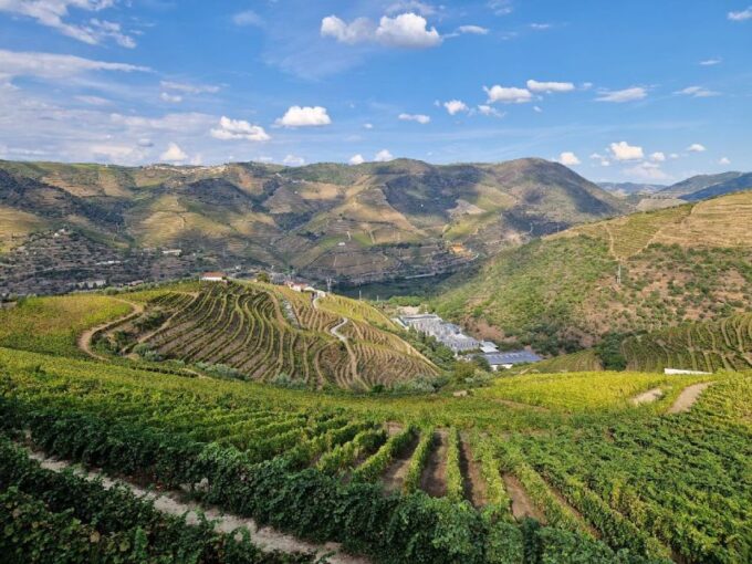 Porto: Douro Valley Private Tour With Winery Lunch & Cruise - Language Options