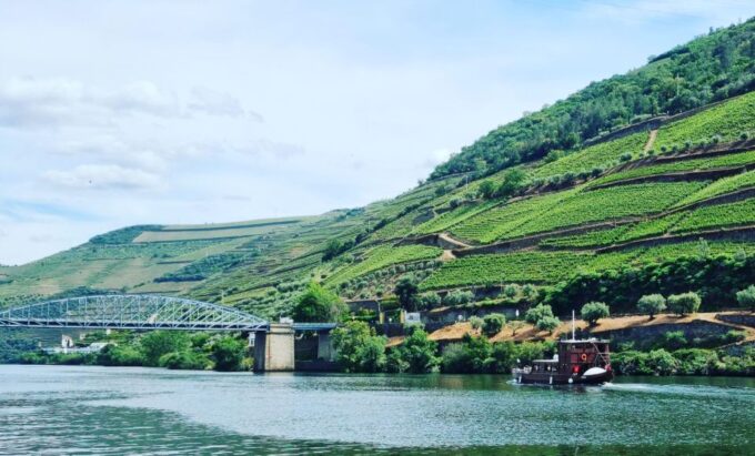 Porto: Douro Valley Private Tour With Winery Lunch & Cruise - Customer Reviews