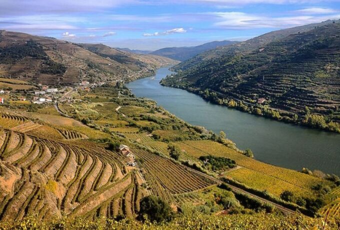 Porto: Douro Valley Private Tour With Winery Lunch & Cruise - Frequently Asked Questions