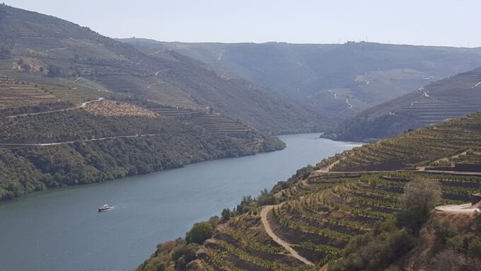Porto: Douro Valley Tour With 2 Wineries, Cruise & Lunch - Frequently Asked Questions