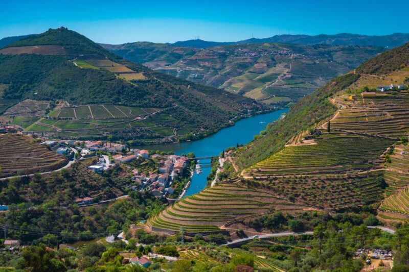 Porto: Douro Valley Tour With Lunch, Boat Cruise & Tastings - Customer Reviews and Feedback