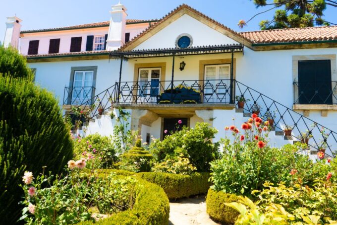 Porto: Douro Valley Tour With Lunch, Boat Cruise & Tastings - Wine Tasting and Douro River Cruise