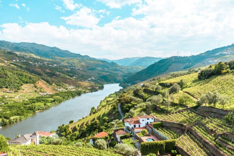 Porto: Douro Valley Tour With Wine Tasting, Cruise and Lunch - Experience Highlights