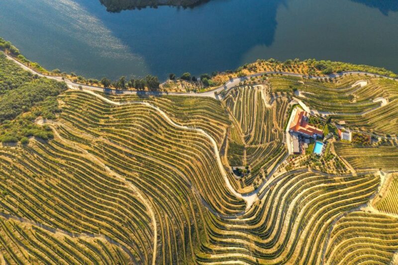 Porto: Douro Valley Tour With Wine Tasting, Cruise and Lunch - Inclusions and Exclusions