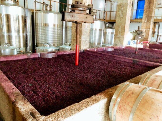 Porto: Douro Valley Tour With Wine Tasting, Cruise and Lunch - Lunch and Wine Tasting