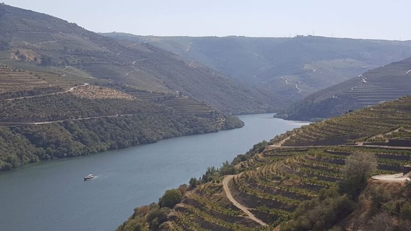 Porto: Douro Valley Tour With Winery Tasting, Cruise & Lunch - Tour Overview and Pricing