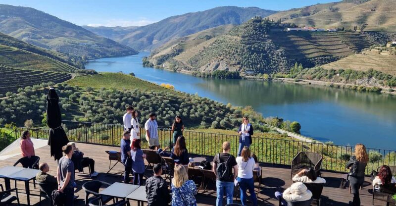 Porto: Douro Valley Tour With Winery Tasting, Cruise & Lunch - Itinerary Highlights