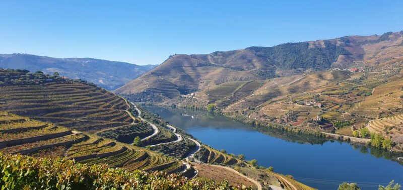 Porto: Douro Valley Tour With Winery Tasting, Cruise & Lunch - Inclusions and Important Information