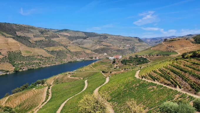 Porto: Douro Valley Tour With Winery Tasting, Cruise & Lunch - Recap
