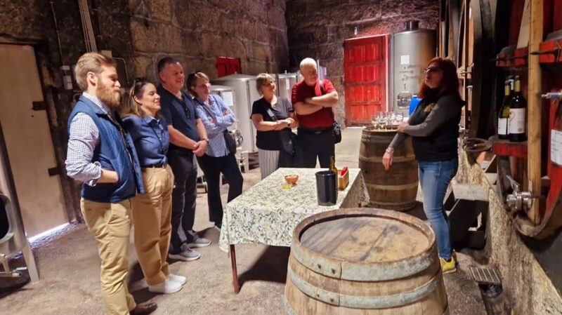 Porto: Douro Valley Wine Tour, Private Cruise & Winery Lunch - Itinerary and Experience