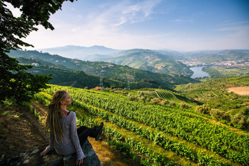 Porto: Douro Valley Wine Tour With a Sommelier & Boat Trip - Included Features
