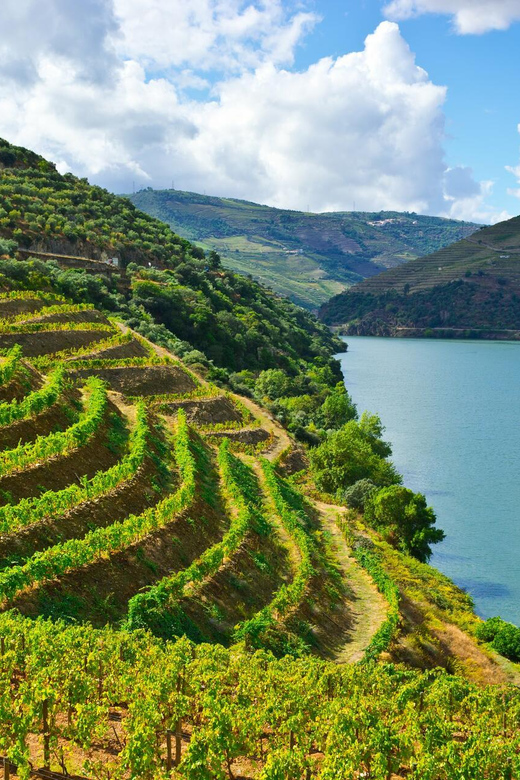 Porto: Douro Valley Wine Tour With Lunch & River Cruise - Frequently Asked Questions