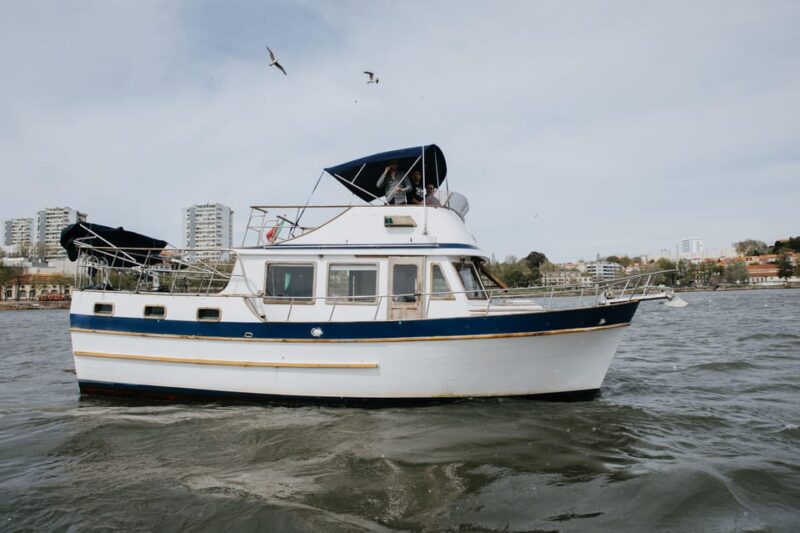 Porto: Exclusive Birthday Party at Innisfree Classic Boat 2h - Duration and Group Size