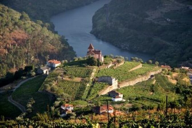 Porto Exclusive : Guided Historic City Center Walking Tour - Tour Overview