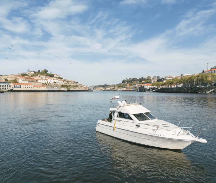 Porto: Golden Leaf Boat Cruise 2H - Experience Highlights