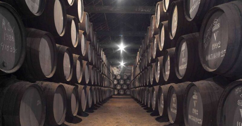 Porto: Grahams Port Lodge Tour With Premium Wine Tastings - Highlights of the Experience