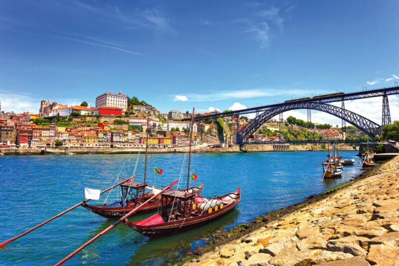 Porto Half-Day Tour and Wine Tasting - Wine Tasting Experience