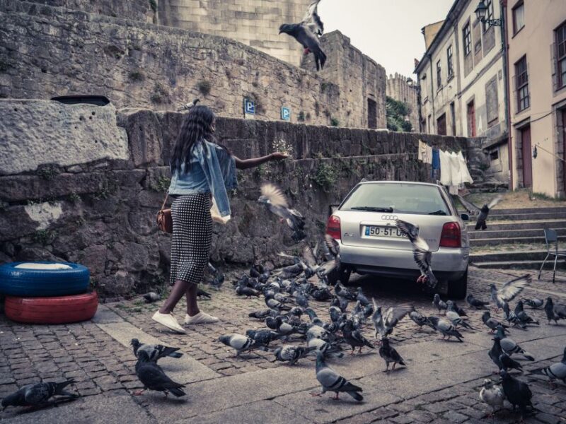 Porto: Half-Day Walking Photo Tour - Experience and Benefits