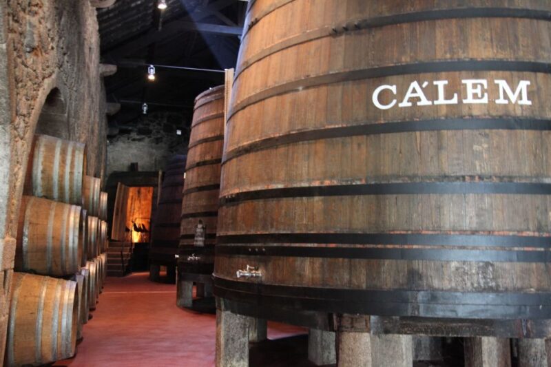 Porto: Hop-On Hop-Off Bus With Optional Cruise & Wine Cellar - Inclusions and Benefits