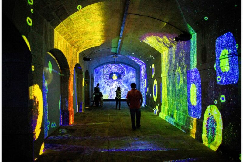 Porto: Impressive Monet & Brilliant Klimt - Booking Information