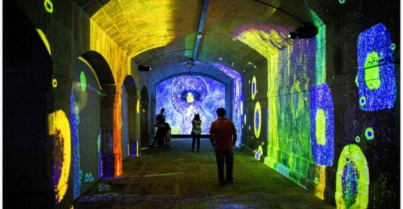 Porto: Impressive Monet & Brilliant Klimt - Experience Highlights