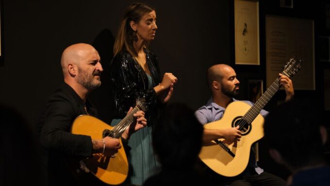Porto: Intimate Fado Concert Ticket With a Glass of Wine - Included Amenities
