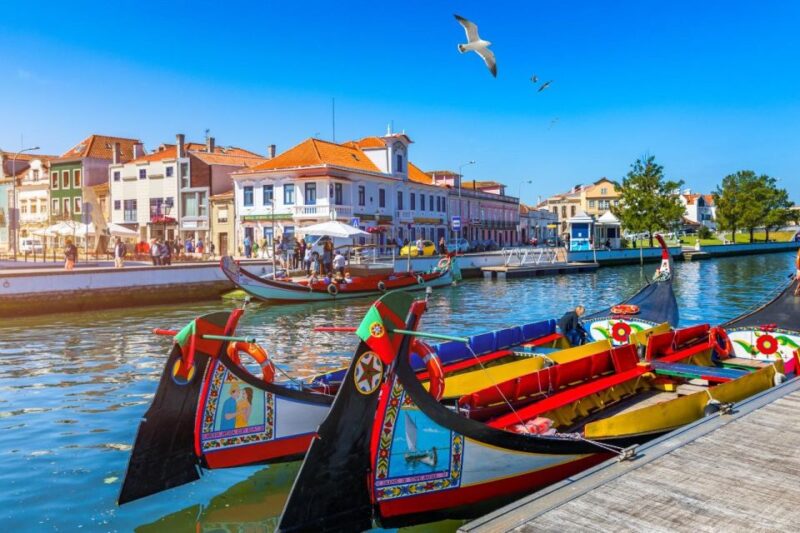 Porto-Lisbon Private Transfer, With Stops Visits on the Way - Transportation and Services