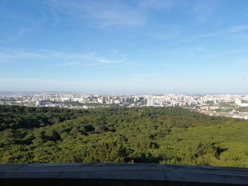 Porto / Lisbon Transfer With Aveiro, Nazaré & Óbidos - Itinerary Highlights