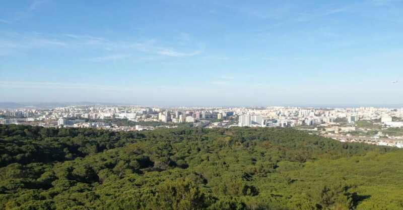 Porto / Lisbon Transfer With Aveiro, Nazaré & Óbidos - Language and Experience
