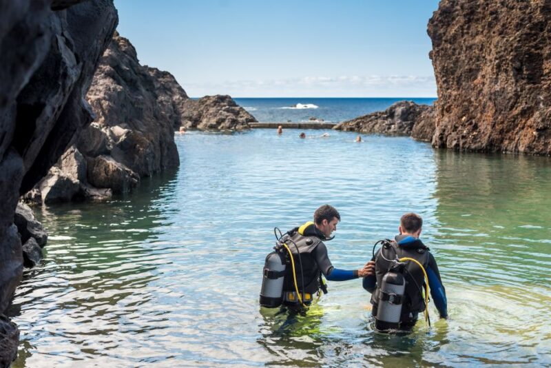 Porto Moniz: Diving With Sharks and Rays in Madeira Aquarium - Inclusions and What to Expect