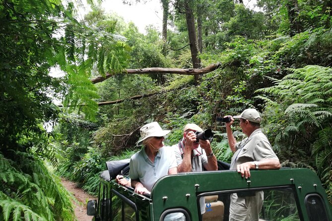 Porto Moniz - Private Full-Day - Safari 4x4 Tour - NorthWest - Inclusions and Costs