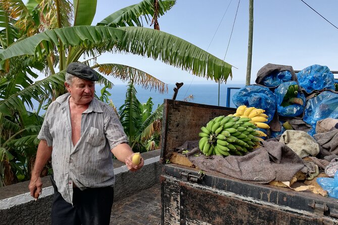Porto Moniz - Private Full-Day - Safari 4x4 Tour - NorthWest - Booking Information and Reviews