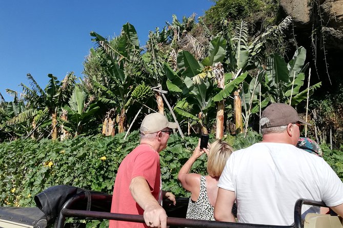 Porto Moniz - Private Full-Day - Safari 4x4 Tour - NorthWest - Photo Opportunities in an Open-Top Jeep