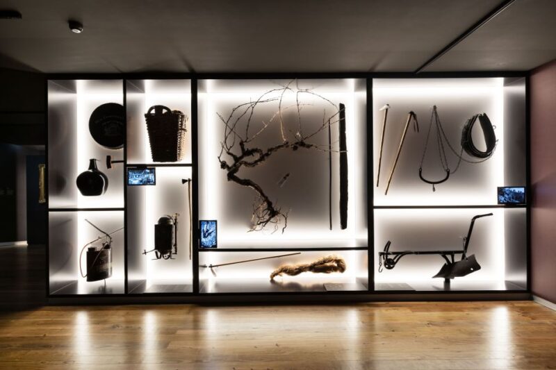Porto: Museum of the Oldest Appellation in the World Ticket - Museum Accessibility and Admission
