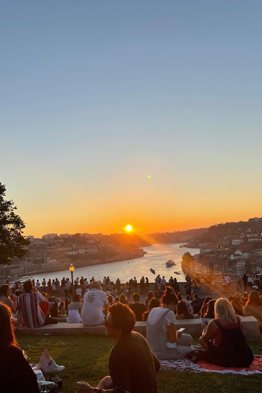 Porto: Picnic Experience in Jardim Do Morro - Customization Options