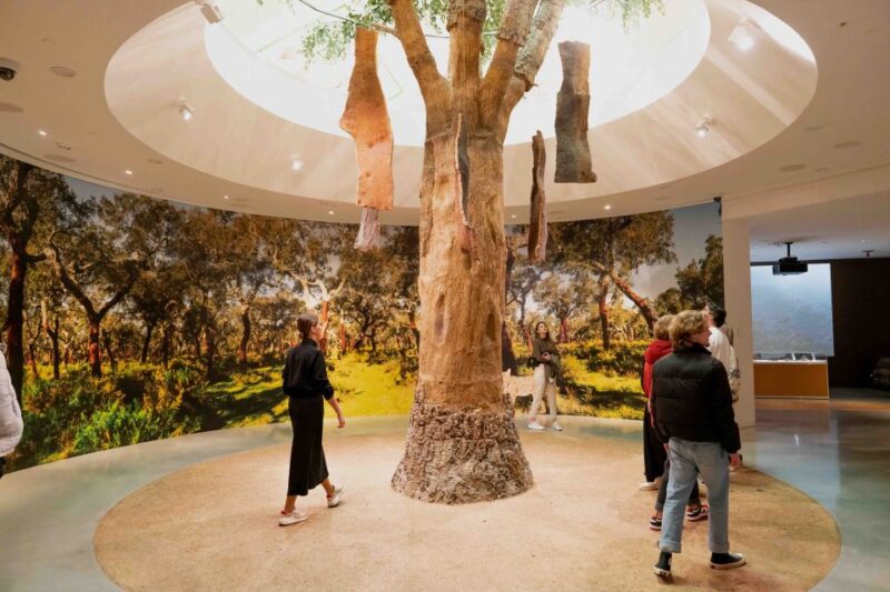 Porto: Planet Cork Entry Ticket at WOW - Environmental Impact