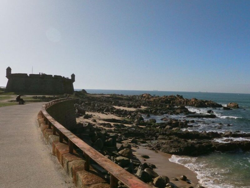 Porto + Port Cellar Visit and Tasting + Sardine Factory Tour - Itinerary Highlights