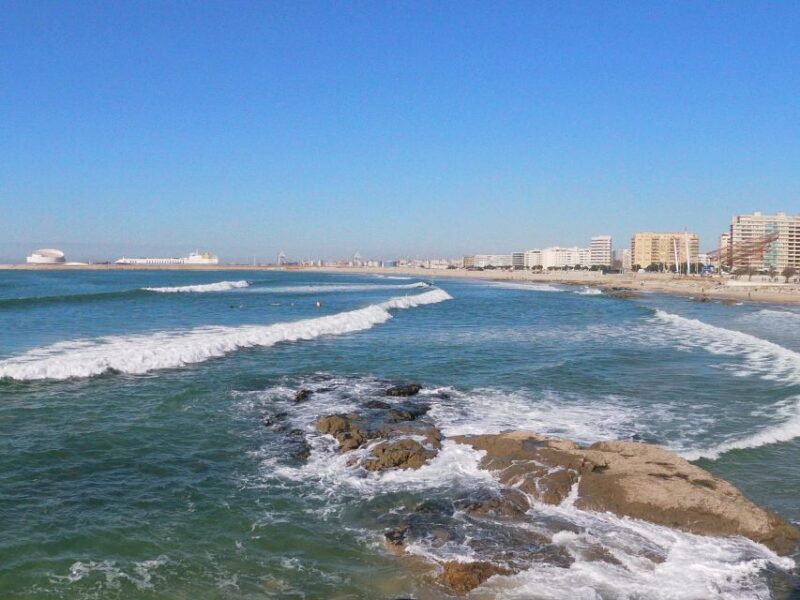 Porto + Port Cellar Visit and Tasting + Sardine Factory Tour - Tour Features