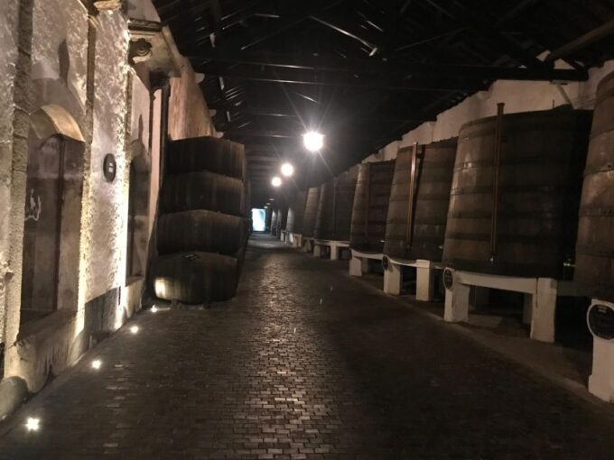 Porto + Port Cellar Visit and Tasting + Sardine Factory Tour - Memorable Experiences