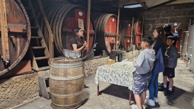 Porto: Premium Douro Valley Wine Tour, Cruise & Winery Lunch - Set out on a Private Cruise