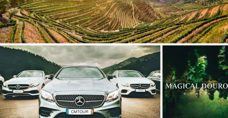 Porto: Private Douro Valley Day With Lunch - Itinerary Highlights