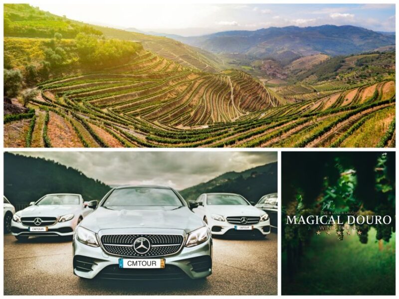 Porto: Private Douro Valley Day With Lunch - Customer Reviews
