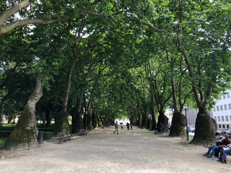 Porto: Private Guided City Walking Tour - Key Points