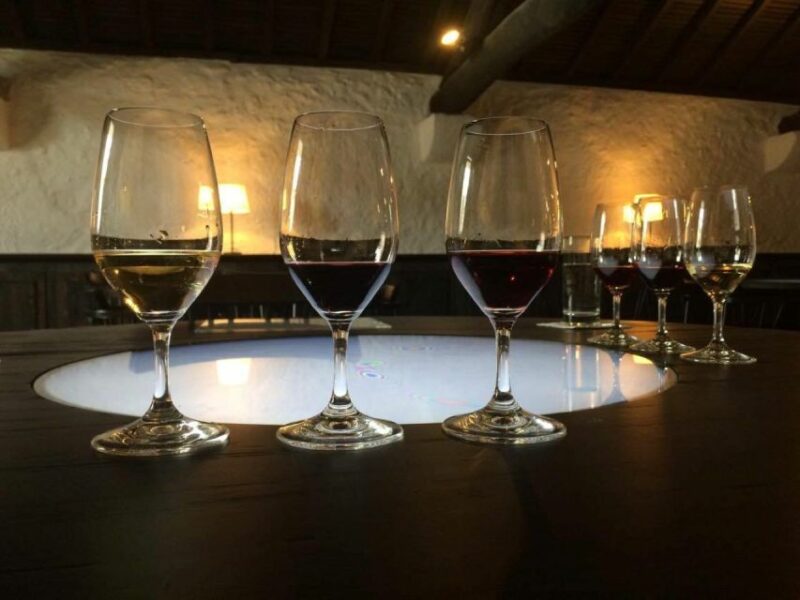 Porto: Private Guided Wine-Tasting Tour - Location and Duration