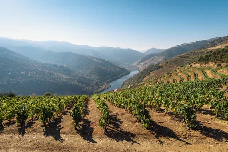 Porto: Private Tour, Boat, Two Wine Tastings, Lunch & Views - Key Points