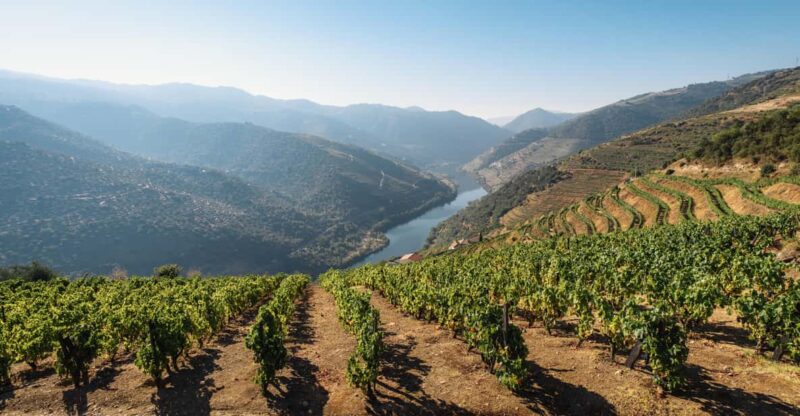 Porto: Private Tour, Boat, Two Wine Tastings, Lunch & Views - Itinerary and Activities