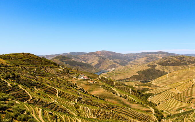 Porto: Private Tour, Boat, Two Wine Tastings, Lunch & Views - Second Wine Tasting