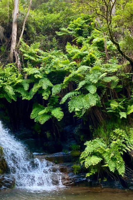 Porto Rio Mau: Hiking, Waterfalls, Lunch. - Group Size and Cancellation